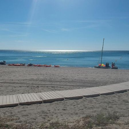 Miami Playa Sunrise Estudio Zebra, Con Vistas Jardin Y Mar מראה חיצוני תמונה